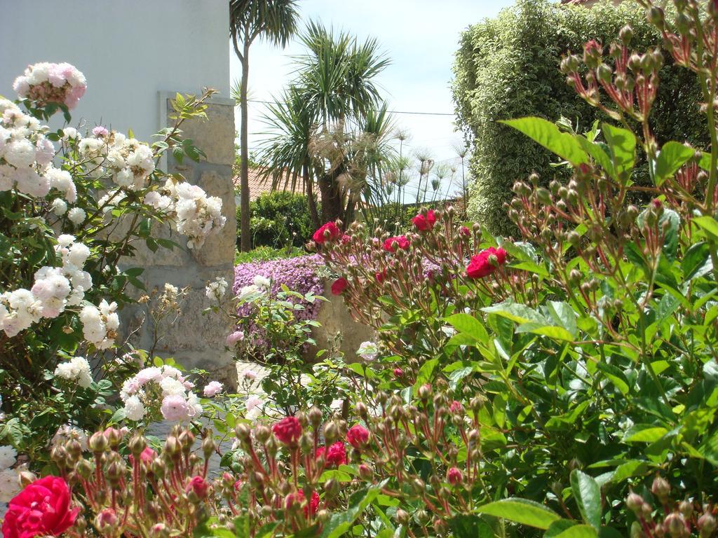 Casa De Hospedes Flor Do Jardim Malveira Exteriér fotografie